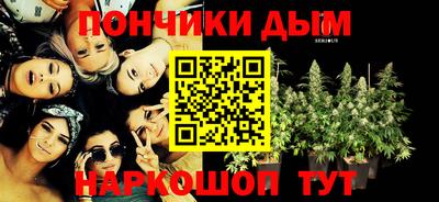 индика Нарткала