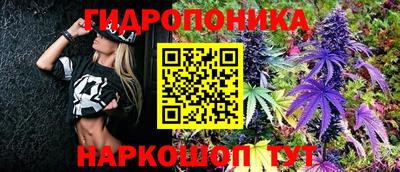 индика Нарткала